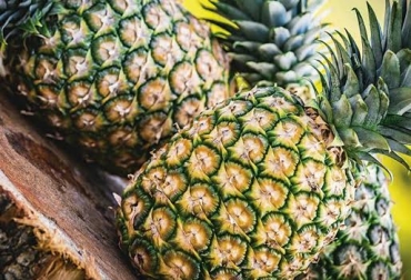 La fruta es cultivada en zonas en las que la caña no da los mejores resultados. Foto: Bengala Agrícola en Facebook. piña, producción de piña, producción de fruta, piña en el valle, piña oromiel, variedad de piña, bengala agrícola, bengala agrícola valle, piña colombiana, piña bengala agrícola, ganadería colombia, contexto ganadero, noticias ganaderas colombia