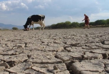 La degradación de la estructura del suelo requiere análisis físicos antes de ser revelada e identificadas su extensión, naturaleza y causa. Foto: FAO Conozca las principales causas de la degradación de la estructura del suelo, FAO, El valor del suelo, CONtexto ganadero, ganadería Colombia, Noticias ganaderas Colombia