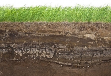 La compactación del suelo genera baja respuesta del cultivo a la aplicación de fertilizantes, señalan los autores de la Cartilla “Maquinaria para el establecimiento y manejo de praderas”. Foto: durangomas.mx Fedegán, Cartilla Maquinaria para el establecimiento y manejo de praderas, SENA Fedegán-FNG, Gilberto Alonso Murcia Contreras. I.A., Ph.D Jesús Hernán Camacho Tamayo. I.A., M.Sc, CONtexto ganadero, ganadería Colombia, Noticias ganaderas Colombia