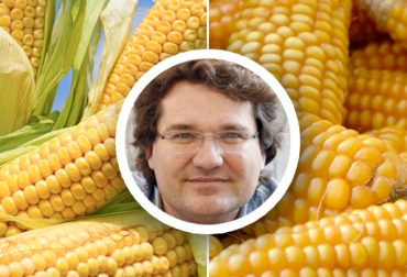 El Dr. José Miguel Mulet es uno de los expertos más reconocidos en la ciencia de los alimentos. Foto: ChileBIO - kscorn.com j.m.mulet, josé miguel mulet, josé miguel mulet en colombia, transgénicos sin miedo, mitos de los transgénicos. medicina sin engaños, comer sin miedo, ganadería colombia, AGRO BIO, noticias ganaderas colombia, CONtexto ganadero