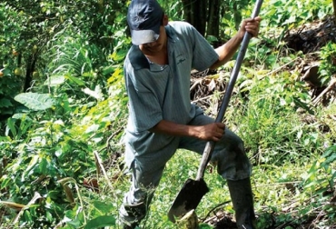 Aplicación de labranza de conservación. Finca El Recreo, municipio Ceiconia. Foto: Juan Naranjo - Cipav. Colombia, labranza mínima, labranza de conservación, CIPAV labranza, Fedegán labranza, SENA labranza, CONtexto ganadero, ganadería Colombia, Noticias ganaderas Colombia