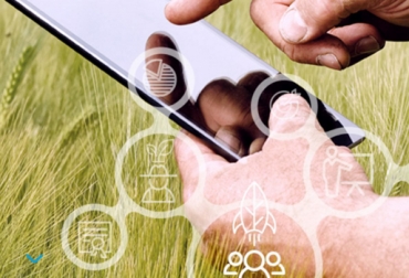 La plataforma AgroStart impulsa la creación de empresas y soluciones digitales para el agro. Foto: AgroStart Plataforma AgroStart, Convocatoria AgroStart, Tecnología sector agropecuario, Startups sector agropecuario, startups sector agrícola, AgroStart Colombia, ayuda para empresas sector agrícola, apoyo económico empresas sector agropecuario, BASF, ACE, CONtexto ganadero, ganaderos colombia, noticias ganaderas Colombia
