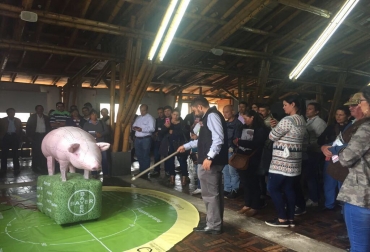 cerda, cerda inflable, cerda inflable colombia, cerda inflable bayer, innovación porcícola, producción de cerdos, vaca maniquí, vaca maniquí colombia, ganadería colombia, contexto ganadero, noticias ganaderas colombia