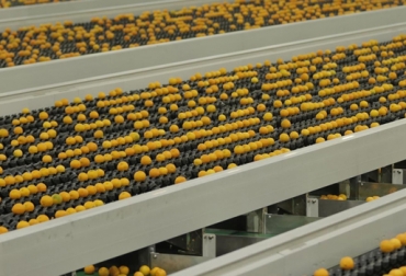 El acuerdo está enfocado en el diseño y fabricación de maquinaria para la post cosecha y la agroindustria colombiana. Foto: Cortesía. Compac Sorting Equipment, SIENZ, Agrosermaq, agrosermaq colombia, agrosermaq medellín, compac, compac nueva zelanda, clasificación de frutas, selección de frutas, tecnología agropecuaria, tecnología frutas, ganadería colombia, noticias ganaderas colombia