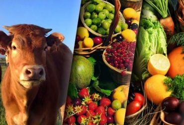 Los desarrolladores de la aplicación incluirán una serie de mejoras para el segundo semestre del año. Foto: Cortesía. Ganadería, ganadería colombia, noticias ganaderas, noticias ganaderas colombia, CONtexto ganadero, agromarket, apps agro, aplicaciones agropecuarias, apps campo, apps rurales, análisis de datos, data, datos agro, agromarket colombia, proveedores, ventas, ventas agrícolas, ventas agropecuarias
