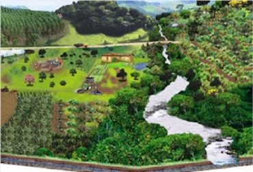 Los sistemas agroforestales organizan cultivos, arbustos, ganado y árboles de diferentes alturas y formas en distintos niveles o estratos, lo que incrementa la diversidad vertical. Foto: meioambientetecnico.blogspot.com.co FAO, diversidad agroecológica, 10 elementos de la agroecología, sistemas integrados de producción agropecuaria, CONtexto ganadero, ganadería Colombia, Noticias ganaderas Colombia
