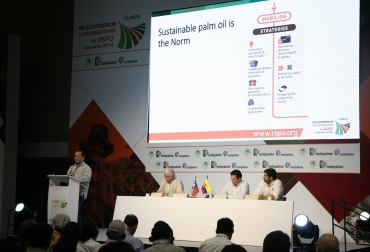 La intervención de Darrel Webber, CEO RSPO, fue una de las más destacadas previo al Congreso. Foto: Cortesía. Ganadería, ganadería colombia, noticias ganaderas, noticias ganaderas colombia, CONtexto ganadero, Congreso Nacional fedepalma, Congreso Nacional fedepalma noticias, Congreso Nacional 2016, Congreso Nacional jens mesa, congreso nacional cali, La palma se desempeñará bien si hay las condiciones según Fedepalma, XLIII Congreso Nacional de Cultivadores de Palma de Aceite, Federación Nacional de Cultivadores de Palma de Aceite, Fedepalma, presidente ejecutivo de Jens Mesa Dishington, Plan Nacional de Desarrollo