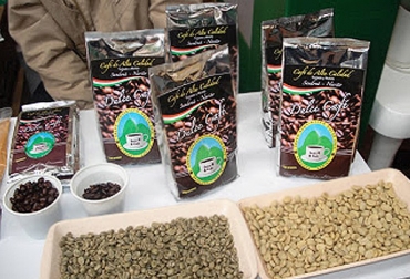 El departamento le está apostando a la producción de un grano especial. Foto: arturobando.blogspot.com. ganadería, ganadería colombia, noticias ganaderas, noticias ganaderas colombia, contexto ganadero, cafés, cafés especiales, cafés especiales nariño, producción de cafés especiales, asprocaes, arcafé, sistema general de regalías, gobernación de nariño, secretaría de agricultura, Intelligentsia Coffee, Michael Sheridan