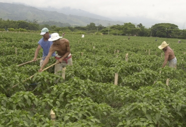 Este y otros temas harán parte del 4° Seminario Nacional de Gestión del Suelo que tendrá lugar en Neiva el 25 y 26 de septiembre. Foto: La Patria Suelo es recurso no renovable, importancia suelo agricultura, suelos Colombia, suelo recurso, 4° Seminario Nacional del Suelo, seminario gestión suelo Neiva 2018, seminario nacional gestion del suelo Neiva, sociedad colombiana de ciencia del suelo, Ganadería, ganadería colombiana, noticias ganaderas, noticias ganaderas Colombia, CONtexto ganadero