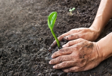 La gestión agrícola mejorada podría reducir las temperaturas globales de 0,26 grados Celsius. Foto: Agriculturers. Ganadería, ganadería colombia, noticias ganaderas, noticias ganaderas colombia, CONtexto ganadero, universidad de California, Berkeley, prácticas de manejo agrícola, plantar cultivos de cobertura, optimizar el pastoreo, sembrar leguminosas en las pasturas, Panel Intergubernamental de Cambio Climático, Whendee Silver, profesor de ciencias ambientales, política y gestión en UC Berkeley, Allegra Mayer, Science Advances, dióxido de carbono, atmósfera, capturar carbono