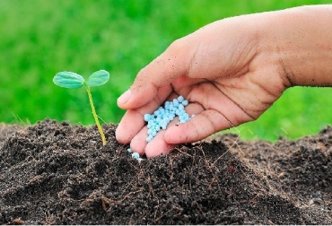 Los fertilizantes ayudan a generar una cobertura vegetal, que previene la erosión y degradación del suelo y contribuyen a una mayor producción por unidad de tierra, mitigando la deforestación para siembra de cultivos. Foto: eleconomista.com.mx. deficiencia de nutrientes, agricultura, Agricultura baja en emisiones, nutrientes del suelo, ¿Por qué es tan importante reponer los nutrientes de los suelos? impacto medioambiental, reducción de gases de efecto invernadero y su impacto al pH de los suelos, el calentamiento global, hoy se promueve el uso de la urea sobre los nitratos, huella de carbono, agricultura sostenible, Ganadería, ganadería colombiana, noticias ganaderas, noticias ganaderas Colombia, CONtexto ganadero
