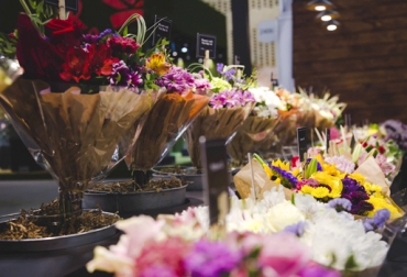 Las flores nacionales siguen despertando interés en el exterior. Foto: Cortesía. Ganadería, ganadería colombia, noticias ganaderas, noticias ganaderas colombia, CONtexto ganadero, Flores de Colombia®, Asociación Colombiana de Exportadores de Flores, asocolflores, Japón, Inglaterra, Estados Unidos y Australia, Embajada de Colombia en Asia, Ministerio de Agricultura y Procolombia, Eliana Alzate, directora de mercadeo y comunicaciones de Asocolflores, Flower Coffee, Massa Nakagawa, Tree of life, Loveless Brand