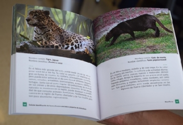 Este libro recoge la biodiversidad de los ecosistemas en los municipios de Puerto Libertador, en Córdoba, y San Onofre, en Sucre, donde se identificaron especies que cumplen funciones de polinización, dispersión de semillas, control de poblaciones de insectos y de otras que ofrecen alimento a algunas personas. Fuente: U, CES. Foto U.CES Colombia, fauna silvestre, silvicultura, Grupo Argos y la U. CES se unen para identificar fauna silvestre en proyectos de silvicultura, “Guía de identificación de fauna silvestre asociada a proyectos de silvicultura, especies de vertebrados terrestres en aves, anfibios, mamíferos y reptiles de los ecosistemas aledaños a los municipios de Puerto Libertador (Córdoba) y San Onofre (Sucre), rana lechera, el cernícalo, el murciélago pescador, el ratón mochilero, la azotadora, Ganadería, ganadería colombiana, not