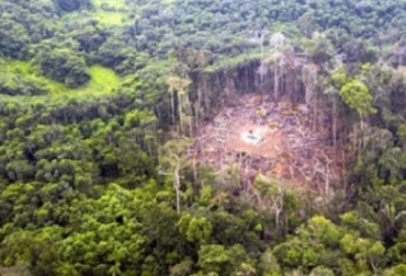En los departamentos de Meta y Guaviare se han encontrado evidencias de áreas con deforestación de bosques naturales, así como de actividades productivas en zonas de exclusión legal. Foto-ilustración: es.globedia.com Colombia, Amazonía colombiana, Posible deforestación en zonas de exclusión legal y de importancia ambiental y social en la Amazonía colombiana, departamentos de Meta y Guaviare, evidencias de áreas con deforestación de bosques naturales, actividades productivas en zonas de exclusión legal (reservas naturales, forestales e indígenas), Ganadería, ganadería colombiana, noticias ganaderas, noticias ganaderas Colombia, CONtexto ganadero