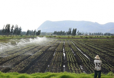 La App está disponible en el Google Play de Android. Foto: Agencia de Noticias UN. ganadería, ganadería colombia, noticias ganaderas, noticias ganaderas colombia, contexto ganadero, Juan Sebastián Sabi Calero, ingeniero agrícola de la Universidad Nacional de Colombia sede Palmira, suelos, suelos sódicos, suelos sódicos en el Valle del Cauca, suelos sódicos por el uso de agua de riego rica en sodio, agua de fuentes hídricas contaminadas, malos sistemas de drenaje, Organización de las Naciones Unidas para la Alimentación y la Agricultura, FAO,