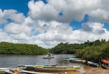 Estas hileras de bosque que separan la tierra firme del mar son vitales para las personas y claves para el desarrollo. Foto: Banco Mundial Banco Mundial, 5 razones para cuidar los manglares, Reservorios de biodiversidad, muro natural para proteger las costas, los manglares están desapareciendo a gran velocidad, Contexto ganadero, noticias ganaderas