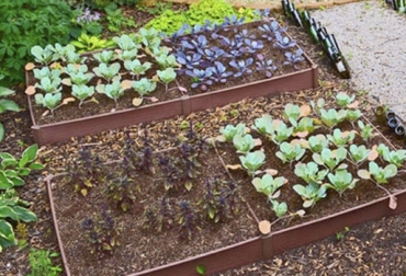 El país debe apuntarle a aumentar el número de hectáreas que actualmente tiene en producción orgánica. Foto: Generación Verde. Ganadería, ganadería colombia, noticias ganaderas, noticias ganaderas colombia, CONtexto ganadero, productos orgánicos, alimentos orgánicos, producción de alimentos orgánicos, producción de alimentos orgánicos en Colombia, Fedeorgánicos, Federación de Orgánicos de Colombia, orgánicos, Universidad de la Salle, Ruth Rodríguez Andrade, docente de Zootecnia de la Universidad de La Salle,