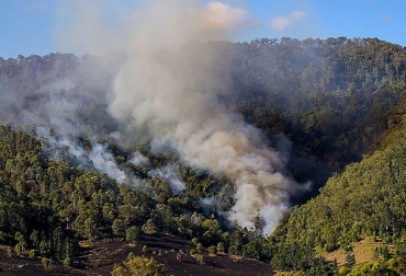 Los casos más frecuentes suelen registrarse en la región de la Amazonia, seguida por la Orinoquia. Foto: Ricardo González - Archivo Unimedios. Ganadería, ganadería colombia, noticias ganaderas, noticias ganaderas colombia, CONtexto ganadero, incendios, Incendios Forestales, universidad nacional, agencia de noticas, fenómeno de El Niño, Dolors Armenteras, directora del grupo de investigación en Ecología del Paisaje y Modelación de Ecosistemas
