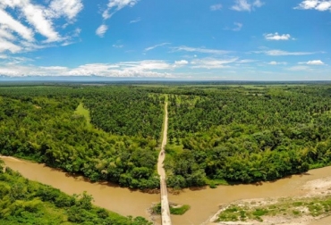 Visibilizar las acciones que las empresas palmeras y los habitantes de las zonas palmeras adelantan para proteger el medio ambiente y garantizar el uso sostenible de los recursos naturales en su región es el enfoque ambiental del Concurso. Foto: Fedepalma Colombia, Fedepalma, concurso de fotografía, 10 versión del concurso de fotografia, categoría ambiental, catedoría social, Contexto ganadero, noticias ganaderas, palma de aceite