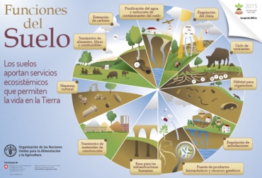 Estos son todos los servicios que nos brinda el suelo, entre los cuales están los servicios ecosistémicos. Foto: FAO suelo, importancia del suelo, calidad suelo, servicios ecosistémicos del suelo, funciones del suelo, guía buenas prácticas para gestión y uso sostenible del suelo en áreas rurales de la FAO, uso del suelo agrícola en Colombia, uso del suelo en colombia, suelo ganadería, suelo agricultura, Ministerio de Ambiente, FAO, Organización de las Naciones Unidas para la Alimentación y la Agricultura, CONtexto ganadero, ganaderos colombia, noticias ganaderas colombia