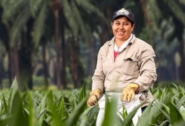 Este reconocimiento se concede cada año y a él pueden ser postuladas las mujeres mayores de edad, de cualquier condición socioeconómica, cuyas acciones cumplan fielmente con los propósitos que han inspirado este premio.. Foto: Fedepalma Fedepalma, Convocatoria al Premio Mujer Palmera Campesina 2019, reconocimiento a la mujer palmera, contexto ganadero, noticias ganaderas, agricultura