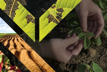 El recinto entrará en operaciones el próximo 2 de marzo. Foto: Unisalle. Ganadería, ganadería colombia, noticias ganaderas, noticias ganaderas colombia, CONtexto ganadero, Universidad de la Salle, Utopía, utopía yopal, utopía universidad de la salle, laboratorio de suelos universidad de la salle
