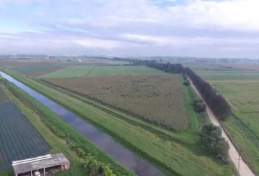 En este momento el país tiene 18 millones de hectáreas con necesidad de irrigación, pero solo se está irrigando el 6%. Foto: youtube.com Colombia, Plan Nacional de Desarrollo Pacto por Colombia. Pacto por la Equidad, Distritos de riego, Colombia, recuperarán y pondrán en marcha tres grandes distritos de riego que tiene el país: Ranchería en La Guajira, El Triángulo del Tolima y, Tesalia Paicol en el Huila, Contexto ganadero, noticias ganaderas, agricultura