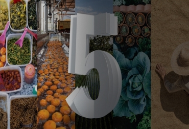 Así son las tecnologías que transformarán la cadena de suministro en los próximos cinco años. Foto: Infobae. Ganadería, ganadería colombia, noticias ganaderas, noticias ganaderas colombia, CONtexto ganadero, Think 2019, suministro de alimentos, Decision Platform for Agriculture, internet de las cosas, blockchain, IA, Food Trust, IoT, tecnología de Secuenciación de Segunda Generación, seguridad alimentaria , inteligencia artificial, E.Coli, Salmonella, infobae,