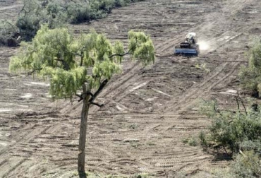 La erosión del suelo se define como la pérdida de la capa superficial de la corteza terrestre. Foto: elpais.com Suelo, importancia del suelo, calidad suelo, degradación del suelo, prácticas que degradan el suelo, Suelo es recurso no renovable, importancia suelo agricultura, suelos Colombia, suelo recurso, guía buenas prácticas para gestión y uso sostenible del suelo en áreas rurales de la FAO, uso del suelo agrícola en Colombia, uso del suelo en colombia, suelo ganadería, suelo agricultura, Ministerio de Ambiente, FAO, Organización de las Naciones Unidas para la Alimentación y la Agricultura, CONtexto ganadero