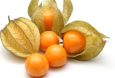 La uchuva colombiana es una fruta apetecida en Reino Unido. Foto: zonalogistica.com. Ganadería, ganadería colombia, noticias ganaderas, noticias ganaderas colombia, CONtexto ganadero, Universidad Francisco de Paula Santander, Asohofrucol, programa de Comercio Internacional de la Universidad Francisco de Paula Santander, Semillero de Investigación de Estudios Internacionales y Desarrollo Empresarial, Semillero de Investigación de Competitividad y Negocios Internacionales, café tostado, cacao, tomate mariana, cebolla roja, pulpa de naranja, durazno, uchuva, aguacate, cebolla junca pulverizada