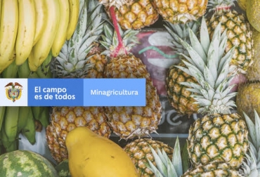El Ministerio de Agricultura y Desarrollo Rural abre convocatoria para que pequeños productores de frutas y hortalizas hagan parte de la junta directiva del FNFH. Foto: minagricultura.gov.co ganadería, ganadería colombia, noticias ganadera colombia, contexto ganadero, agricultores, productores, frutas, hortalizas, convocatoria, ministerio, ministerio agricultura, minagricultura, junta directiva, asohofrucol, asociación hortifruticola de colombia, pequeños productores, pequeños, ganaderos Colombia, fondo de fomento hortifruticola, fondo de fomento, inscripciones convocatoria.