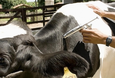 Los agricultores y ganaderos deben revisar el número del lote, la fecha de fabricación y de vencimiento de los medicamentos, además de su legalidad. Foto: AgroNeto ganadería, ganadería colombia, noticias ganadera colombia, contexto ganadero, cesar, medicamentos, medicamentos adulterados, gobierno, contrabando, delincuentes,s ica, dian, polfa, establecimientos, certificados, legal, avalados, legalidad, medicamentos agropecuarios, agropecuarios, fecha de vencimiento, numero de lote, fecha de frabricacion, ficha tecnica, ganaderos, ganaderos Colombia