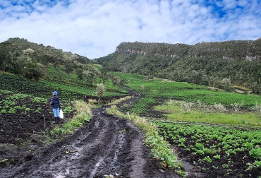 Participar en los programas de extensión rural tiene un impacto positivo con respecto a la capacidad de asociatividad y las condiciones de vida de los beneficiarios. Foto: Agencias de Noticias UN. Ganadería, ganadería colombia, noticias ganaderas, noticias ganaderas colombia, CONtexto ganadero, Censo Nacional Agropecuario, Laura Cristina Cañón Paredes, magíster en Ciencias Económicas de la Universidad Nacional, Departamento Nacional de Planeación, empresas Prestadoras de Servicios de Asistencia Técnica Agropecuaria, Epsagros, Unidades Municipales de Asistencia Técnica Agropecuaria, Umatas, Centros Provinciales de Gestión Agroempresarial, CPGA, Ministerio de Agricultura, unidades productoras agropecua