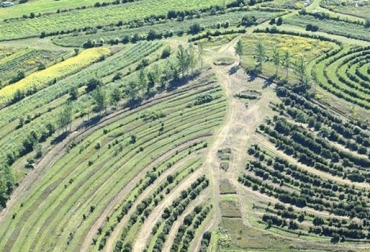 El diseño de irrigación de agua dulce en terrenos ondulados fue creado por P.A. Yeomans en 1954. Foto: volterra.bio keyline, diseño keyline, keyline Colombia, keyline design, beneficios del keyline, líneas claves, bondades de las líneas claves, líneas claves en ganadería, keyline ganadería, Ganadería permacultura, ganadería permacultural, Ganadería regenerativa, Ganadería Sostenible, permacultura Colombia, concepto permacultura, ganadería permacultura Colombia, producción ganadera sostenible, contexto ganadero, ganadería colombia, noticias ganaderas Colombia