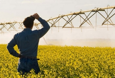 El equipo agronómico de Yara aclara los 5 mitos más comunes sobre la fertilización foliar. Foto: YARA nutrición foliar, mitos y realidades de la nutrición foliar, Yara, hongos y las plagas, estrés externo, fertilizantes foliares y agroquímicos, estabilidad de los cultivos, la absorción de fertilizantes foliares, fertilización edáfica, CONtexto ganadero, noticias ganaderas colombianas, agricultura