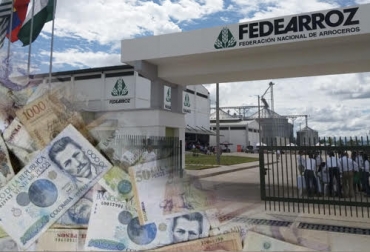 Para la próxima cosecha, Fedearroz pide mayores recursos en los incentivos para el sector. Foto: fedearroz.com.co - telesurtv.net Ganadería, ganadería colombia, Ganadería colombiana, CONtexto ganadero, noticias ganaderas, noticias ganaderas colombia, fedearroz. federación nacional de arroceros, recursos incentivos fedearroz, gran cosecha arrocera, vía al Llano, efectos via al llano, arroceros colombia, arroceros, ganaderos, ganaderos colombia