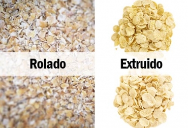 Entre los métodos más conocidos para procesar granos, están el rolado y el extruido. Foto: forrajesgutierrez.com - clextral.com Tipos de procesamiento de granos, Grano seco, grano húmedo, grano seco ganadería, grano húmedo ganadería, tipos de grano seco para ganadería, tipos de grano húmedo para ganadería, valor nutricional grano ganadería, granos ganadería, nutrición bovina, alimento para el ganado, grano vacas, alternativas de dietas para vacas lecheras, molienda seca, molienda húmeda, CONtexto ganadero, ganadería colombia, noticias ganaderas colombia