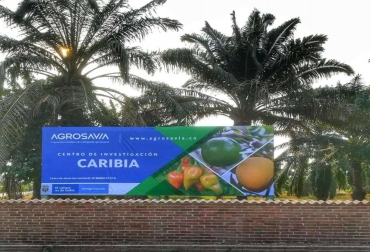 Caribia adelanta una agenda de Investigación, Desarrollo e Innovación en el costa colombiana. Foto: Agrosavia caribia, Agrosavia, investigación de Agrosavia, fortalecimiento del sector hortícola, sector hortícola del caribe
