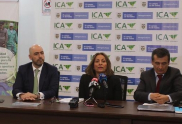La situación fue dada a conocer el pasado jueves por la gerente general del ICA, Deyanira Barrero. Foto: ICA. Ganadería, ganadería colombia, noticias ganaderas, noticias ganaderas colombia, contexto ganadero, ica, asbama, augura, cenibanano , fusarium oxysporum raza 4 tropical, Foc R4T, enfermedad del banano, enfermedad del banano en colombia, plagas, plagas colombia, PMU fusarium, pmu guajira, pmu urabá, pmu magdalena, fusarium colombia, medidas fusarium colombia,