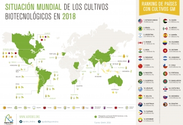 Colombia se ubica en el puesto 18 en la adopción de transgénicos. Foto: Agro-bio. Ganadería, ganadería colombia, noticias ganaderas, noticias ganaderas colombia, CONtexto ganadero, cultivos transgénicos, Servicio Internacional de Adquisición de Aplicaciones de Agrobiotecnología, ISAAA, consultora inglesa PG Economics, crecimiento de los transgénicos, 4.7 millones de hectáreas de transgénicos en 2019, cultivos de maíz, algodón genéticamente modificados, Colombia, transgénicos Colombia, maría andrea uscátegui, directora ejecutiva de Agro-Bio