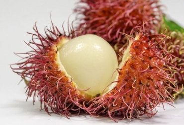 El rambután, fruto originario de Malasia, ya se produce y comercializa en nuestro país. Foto: es.readkong.com Rambután Colombia, Rambután de Colombia, define rambután, fruta rambután, frutas en colombia, frutas exóticas, Seedsco, propiedades del rambután, usos del rambután, consumo de frutas colombia, frutas colombia, frutas producción colombia, exportación de frutas colombianas, frutas colombianas en el exterior, frutas de exportación colombia, datos sobre frutas colombia, CONtexto ganadero, ganaderos colombia, noticias ganaderas colombia