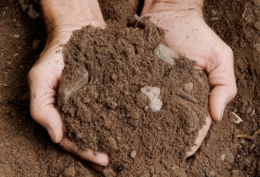 La tarjeta de evaluación consiste en una serie de criterios para verificar la calidad del suelo en la finca. Foto: igrandivini.com Calidad suelo, tarjeta evaluación calidad suelo, características suelo, evaluación cualitativa del suelo, evaluación cuantitativa del suelo, tarjeta evaluación, diagramación de la parcela, calidad suelo, uso del suelo, CONtexto ganadero, ganadería colombia, noticias ganaderas colombia