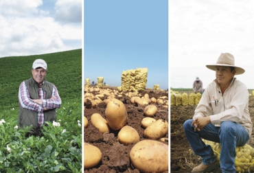 Con la solución RicaPapa by Yara, la multinacional busca atender a los más de 100 mil productores de papa que hay en el país. Foto: ricapapabyyara.com RicaPapa by Yara, Rica papa, papa Colombia, producción de papa, Campaña papa Yara, Fedepapa, producción de papa Colombia, papicultores Colombia productores de papa Colombia, CONtexto ganadero, ganadería colombia, noticias ganaderas Colombia