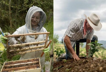 Son 27 jornadas las que está realizando la Cámara de Procultivos de la ANDI para conectar a agricultores y apicultores. Foto: apiculturaencolombia.com - sagan.com.co ganaderia, ganaderia colombia, ganaderia colombia, contexto ganadero, noticias ganaderas, noticias ganaderas colombia, apicultura, agricultura, jornadas camara procultivos, talleres andi, camara procultivos andi, agricultores colombia, apicultores colombia, ganaderos, ganaderos colombia