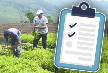 La Encuesta Nacional Agropecuaria mostró que en Colombia había sembradas 4,3 millones de hectáreas en el primer semestre de 2019. Foto: pngimage.net - maravillastereo.com DANE, Encuesta Nacional Agropecuaria, cultivos, Café, palma, cereales, frutas, Arroz, tubérculos, papa, Ganadería, ganadería colombia, noticias ganaderas colombia y contexto ganadero