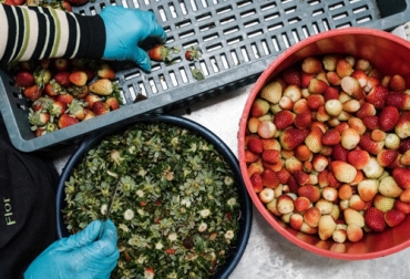 La firma colombiana Alpina está usando fresas, piña, mango y limón de agricultores colombianos con tecnología de alta presión para realizar jugos de frutas. Foto: Cortesía Jugos de frutas, elaboración de jugos de frutas, consumo jugo de frutas Colombia, tecnologías elaboración jugo frutas, pasteurización, presión hidrostática, luz ultravioleta, ultrasonido, pulso eléctrico, frutas Colombia, preparación de jugos de frutas, CONtexto ganadero, ganaderos Colombia, noticias ganaderas Colombia