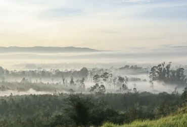 Los pronósticos del clima muestran que hasta abril se tendrán temperaturas más altas de lo normal para esta época del año. Foto: encolombia.com Heladas, clima, temperatura, Agrosavia, altiplano, cundinamarca, Boyacá, recomendaciones, suelos, arvenses, rastrojo, Ganadería, ganadería colombia, noticias ganaderas colombia y contexto ganadero.