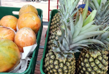 El consumo de frutas, legumbres, carne y leche es clave para tener las defensas altas y combatir el virus. Foto: Gobernación de Cundinamarca. Ganadería, ganadería colombia, noticias ganaderas, noticias ganaderas colombia, CONtexto ganadero, coronavirus, COVID-19, alimentos coronavirus, dieta coronavirus