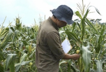 Los ingenieros agrónomos desean en el actual momento de crisis con su conocimiento para los planes de producción de alimentos de manera que se garantice la seguridad alimentaria. Foto: agrositio.com.ar ingenieros agrónomos, Alimentos, Producción, planes, crisis, coronavirus, FIACOL, recuperación económica, Campesinos, empresarios, sostenibilidad, ambiental, social, económica, abastecimiento, constitución, FAO, COVID-19, Ganadería, ganadería colombia, noticias ganaderas colombia, CONtexto ganadero.