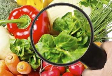 La FAO en América Latina y el Caribe pidió a los gobiernos que implementen medidas para apoyar a los niños cuyas familias tienen mayores dificultades para acceder a los alimentos. Foto: excelenciasgourmet.com Ganadería, ganadería colombia, Ganadería colombiana, CONtexto ganadero, noticias ganaderas, noticias ganaderas colombia, coroavirus, pandemia coronavirus, COVID-19, Seguridad Alimentaria, FAO, crisis sanitaria, crisis alimentaria, ganaderos, ganaderos colombia